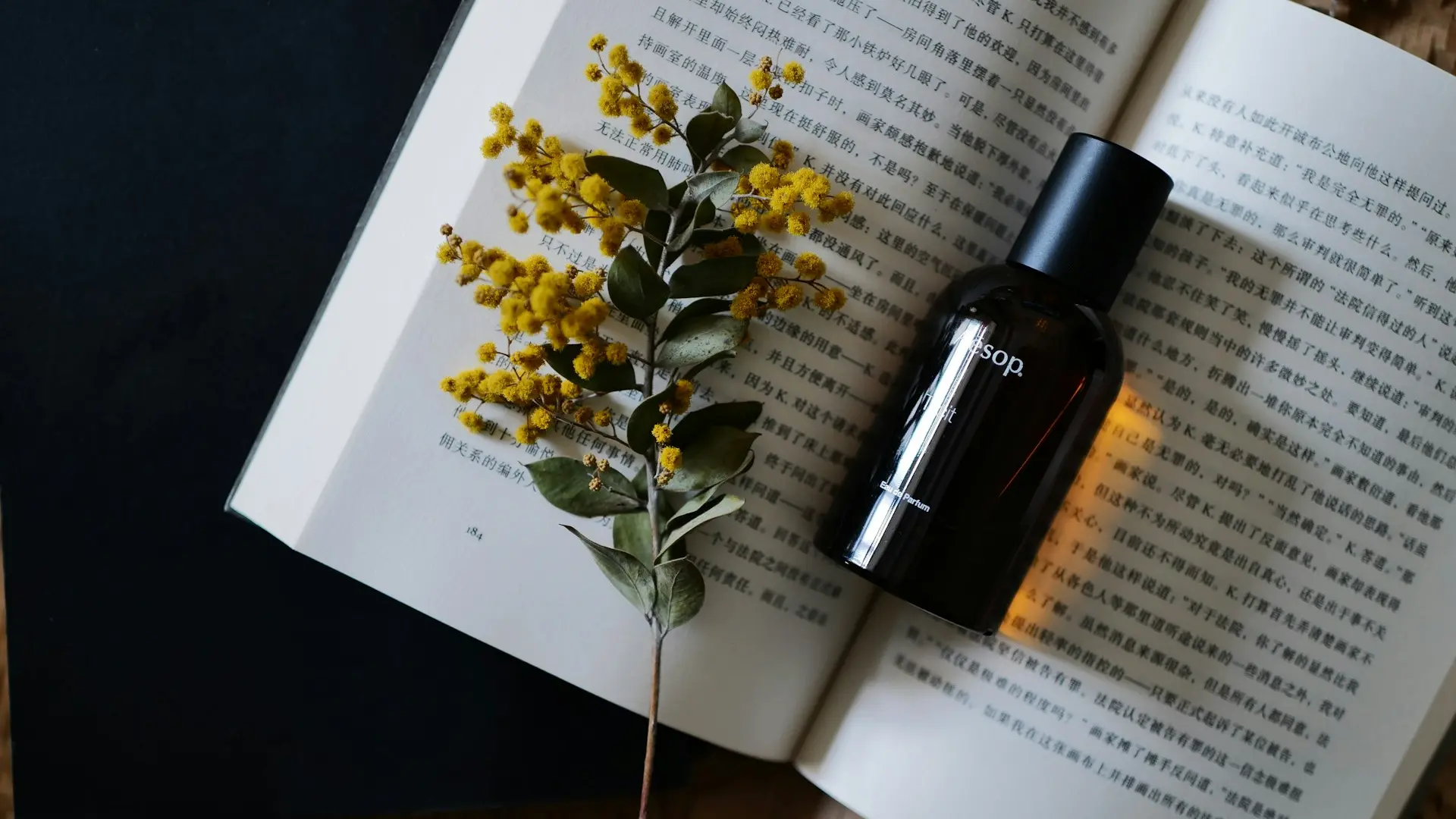 A bottle of essential oils sitting on top of an open book