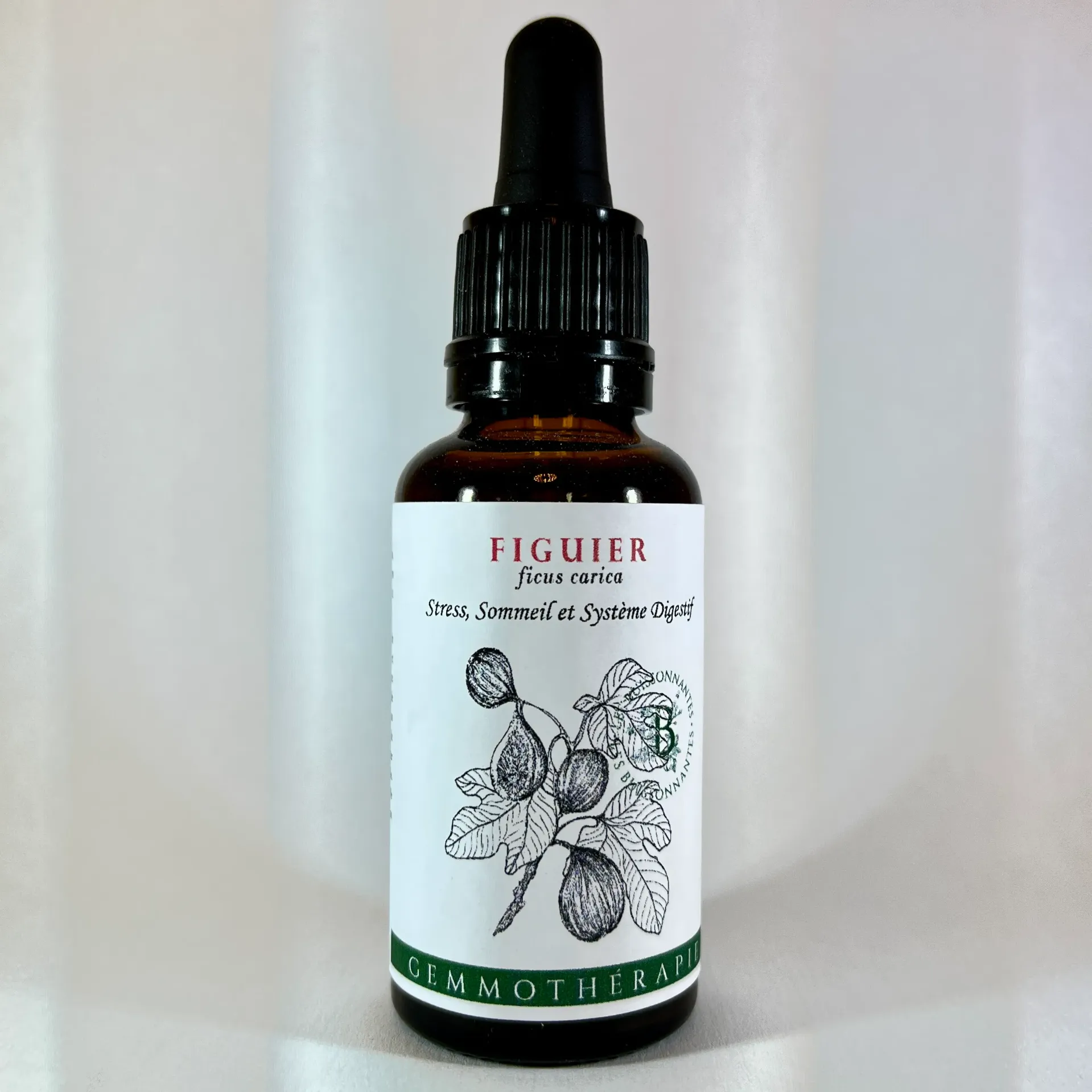 Figuier