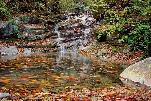 N°27 - Rock water - Autorépression et autodiscipline stricte - 5mL